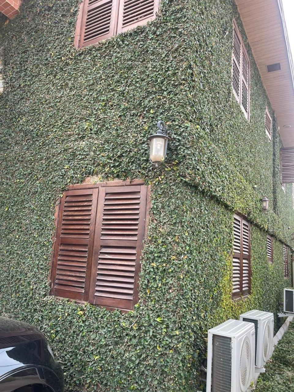 אקרה Bays Boutique Apartment מראה חיצוני תמונה